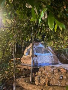 Zahrada ubytování Suối Mơ Dốc Tình Glamping & Retreat