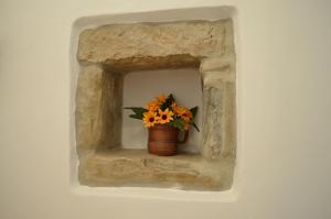 Fotografie z fotogalerie ubytování Jasmina Apartment v destinaci Hum