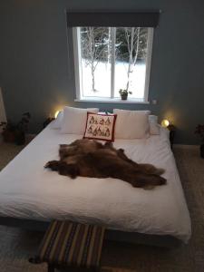 a large furry animal laying on top of a bed at Åbergs Gård - BnB Orsa Åberga in Kallmora