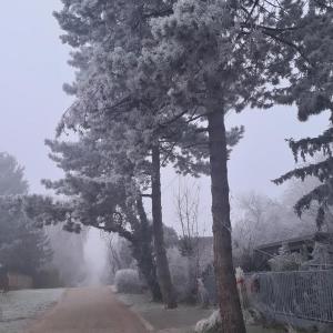 Világos Kert Balatonvilágos Chill House v zime