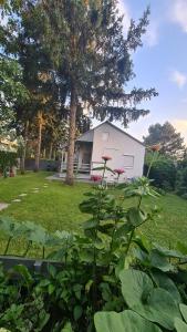 Vonkajšia záhrada v ubytovaní Világos Kert Balatonvilágos Chill House