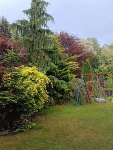 Ogród w obiekcie Haus Flora - Ferienwohnung Bodensdorf