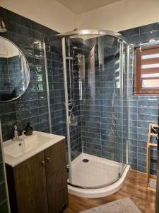 a bathroom with a shower and a sink at Domek Pod Siodłem in Wetlina +6 photos