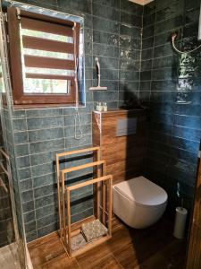 a small bathroom with a toilet and a window at Domek Pod Siodłem in Wetlina