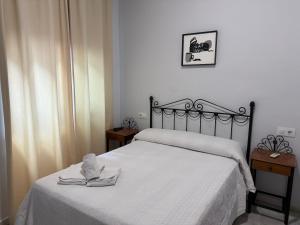 Voodi või voodid majutusasutuse Hostal Almanzor toas