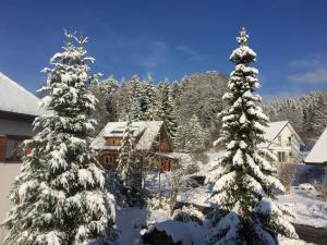 two christmas trees covered in snow in front of a house at Blackforest Life in Urberg