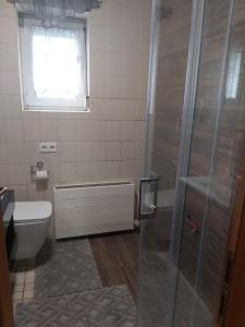 a bathroom with a tub and a toilet and a window at Apartamento Bad Hersfeld in Bad Hersfeld