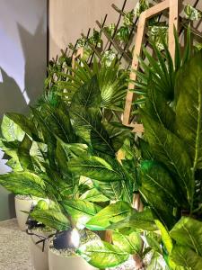 Zahrada ubytování Prestige Hitting Residence + 12 fotografií