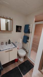 une salle de bain avec toilettes, lavabo et miroir dans l'établissement Beach Proximity in Historic Nice, Your Perfect 2 Room Rental, à Nice 8 autres photos