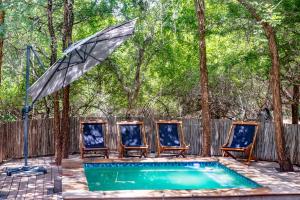 eine Gruppe von Stühlen und einem Sonnenschirm neben einem Pool in der Unterkunft The Porcupine Porch in Marloth Park