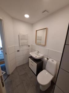 a bathroom with a white toilet and a sink at Monteurzimmer - Ferien Wohnungen Leipzig - Sandersdorf-Brehna in Deutsches Haus