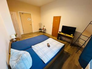 TV a/nebo společenská místnost v ubytování Hotel Steinhoff