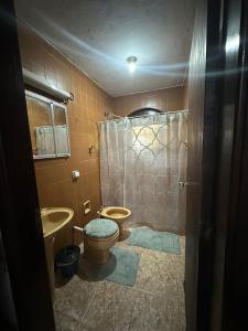a bathroom with a toilet and a shower at Praia do Veloso - Ilha Bela in Ilhabela