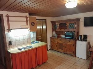 a kitchen with a counter top and a refrigerator at Ferienhaus Resch in Laufen