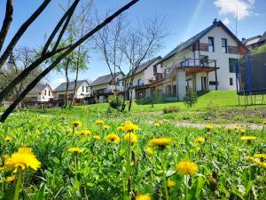 Zahrada ubytování PR`FIK Apartments