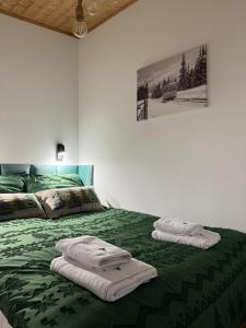 Зображення з фотогалереї помешкання Czarna Willa у Закопане