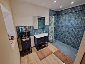 a bathroom with a sink and a shower at La forge des vignes in Menetou-Râtel +16 photos