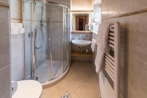 a bathroom with a shower and a sink and a toilet at Widmannhof - Urlaub auf dem Biobauernhof in Bressanone +77 photos