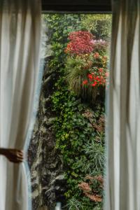 Zahrada ubytování Inhala Hotel Garden