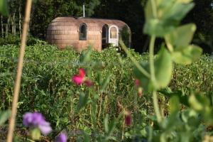 a small domeificialificialificialificialificialificialificialificialificialificialificialificialificial at Igloo cabin in Saaremaa in Kapra