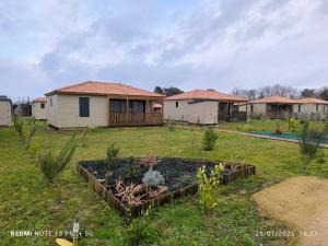 ein Hof mit einem Haus und einem Garten mit Pflanzen in der Unterkunft cottage Landes entre terre et ocean in Saubrigues