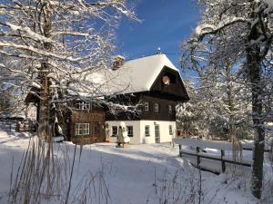 Dachstein Chalet Goisern v zime