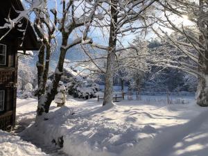 Dachstein Chalet Goisern v zime