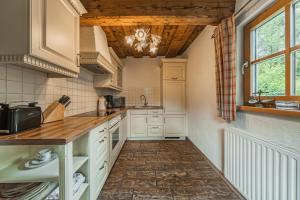Kuchyňa alebo kuchynka v ubytovaní Dachstein Chalet Goisern