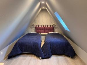 a room with two blue pillows in the attic at Gîte du Figuier 4 à 6 personnes Sélestat Centre-Alsace in Sélestat