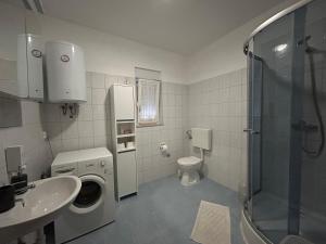 Kúpeľňa v ubytovaní Apartman Petra