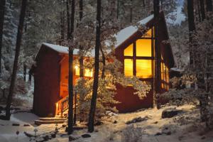 Deck and Forest Views Peaceful Prescott Cabin v zimě