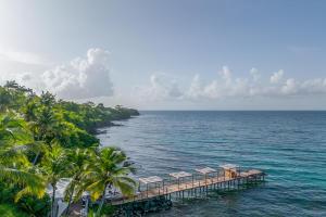 a pier with chairs and palm trees on the ocean at Gap Caraïbes in Le Diamant +19 photos