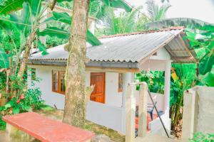 Zahrada ubytování Pradeepa house