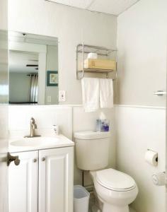 a white bathroom with a toilet and a sink at Chateau Blanc Yale Located Downtown in New Haven +7 photos