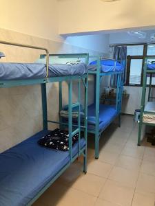 Postelja oz. postelje v sobi nastanitve Kung-fu Hostel 功夫旅舍