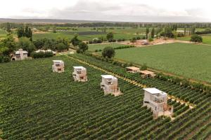 an aerial view of a vineyard with four white structures in a field at Agrelo Vines Lodge in Agrelo