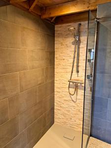 a shower with a glass door in a bathroom at Vakantiehuis Het Wonder in Siegerswoude