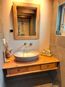a bathroom with a sink and a mirror at Vakantiehuis Het Wonder in Siegerswoude