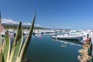 a group of boats docked in a harbor at Camping Sole Di Sari in Sari Solenzara