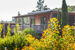 a tiny house in a garden with yellow flowers at Camping Sole Di Sari in Sari Solenzara