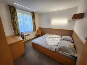 Fotografie z fotogalerie ubytování Pension HOGO v destinaci Brno