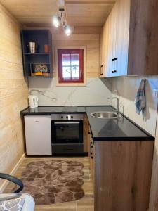 Kuchyň nebo kuchyňský kout v ubytování Vila Dobar Pogled