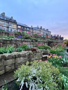 Zahrada ubytování Monty House Saltburn by the Sea