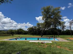 a group of people in a swimming pool in a field at Vilagama Game Lodge in Naboomspruit