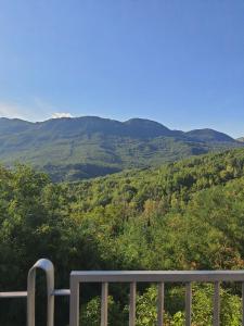 Příroda nedaleko apartmánu + 4 fotografie