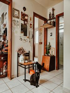 dos gatos negros sentados en una habitación con una mesa en Apartamento da bruxa verde, en Belo Horizonte