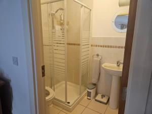 a bathroom with a shower and a toilet and a sink at Maryem Ana in Kenmare +9 photos