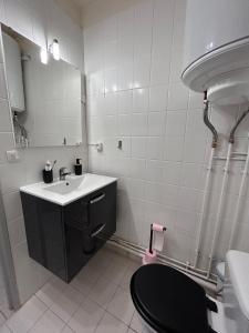 un bagno con lavandino, WC e specchio di Appartement à ARGELES SUR MER PLAGE ad Argelès-sur-Mer Altre 12 foto