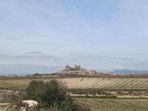 a large building on a hill in a field at Apartamento San Pelayo, LA PICUDA in San Vicente de la Sonsierra