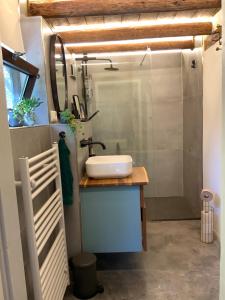 un baño con lavabo y ducha en Historische Breidenmühle, en Haan